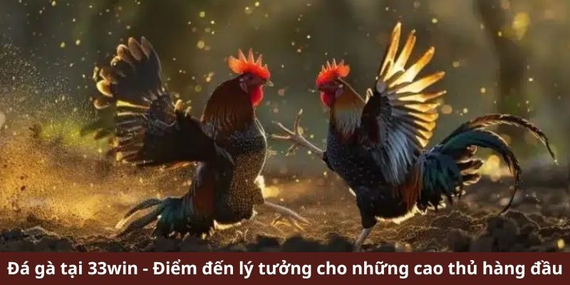 Độ bảo mật thông tin tại 33win vô cùng hiện đại, an toàn